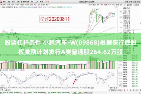 股票杠杆条件 小鹏汽车-W(09868)根据获行使股权激励计划发行A类普通股264.62万股