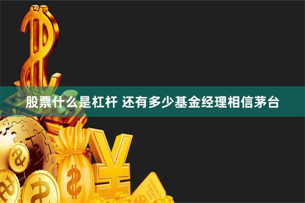 股票什么是杠杆 还有多少基金经理相信茅台