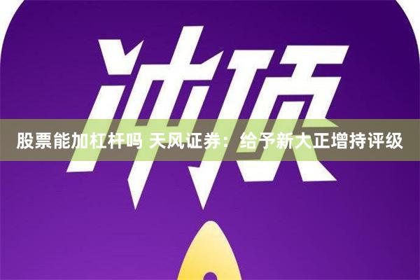 股票能加杠杆吗 天风证券：给予新大正增持评级