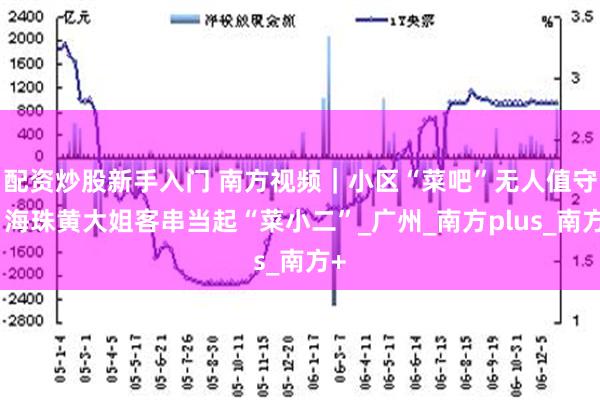 配资炒股新手入门 南方视频｜小区“菜吧”无人值守，海珠黄大姐客串当起“菜小二”_广州_南方plus_南方+