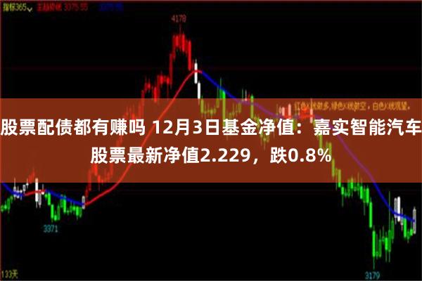 股票配债都有赚吗 12月3日基金净值：嘉实智能汽车股票最新净值2.229，跌0.8%