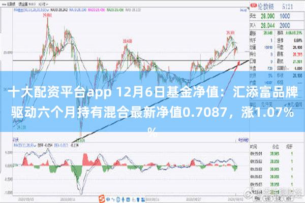 十大配资平台app 12月6日基金净值：汇添富品牌驱动六个月持有混合最新净值0.7087，涨1.07%