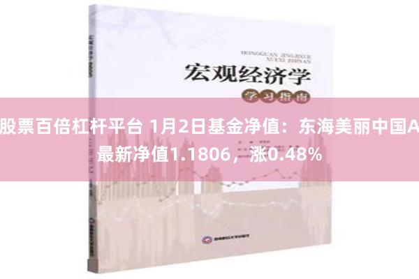 股票百倍杠杆平台 1月2日基金净值：东海美丽中国A最新净值1.1806，涨0.48%