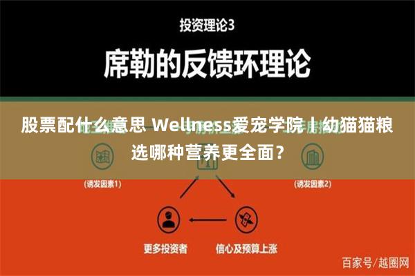 股票配什么意思 Wellness爱宠学院丨幼猫猫粮选哪种营养更全面？