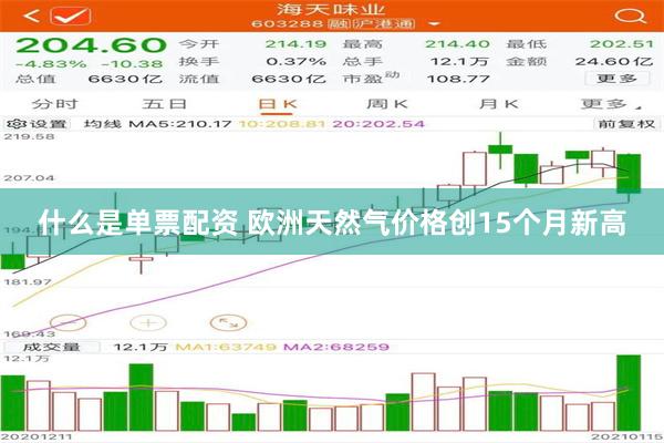 什么是单票配资 欧洲天然气价格创15个月新高