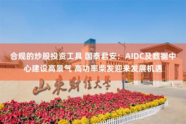 合规的炒股投资工具 国泰君安：AIDC及数据中心建设高景气 高功率柴发迎来发展机遇